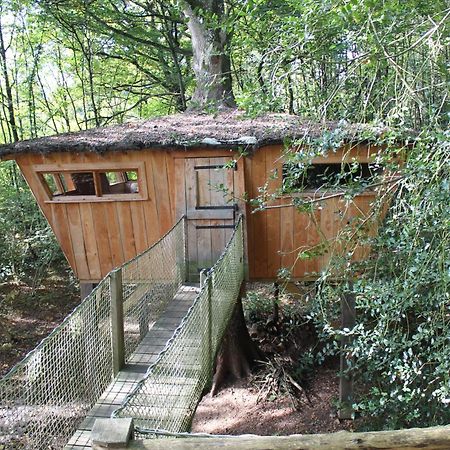 Les Ecolodges De L'Orbiere Forcé Dış mekan fotoğraf
