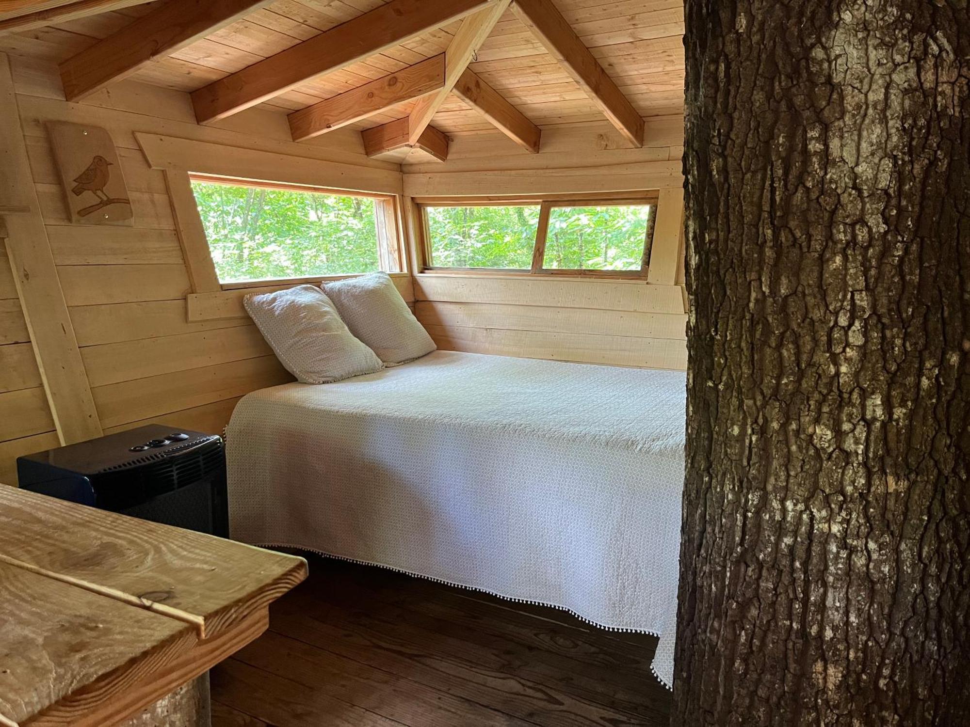 Les Ecolodges De L'Orbiere Forcé Dış mekan fotoğraf