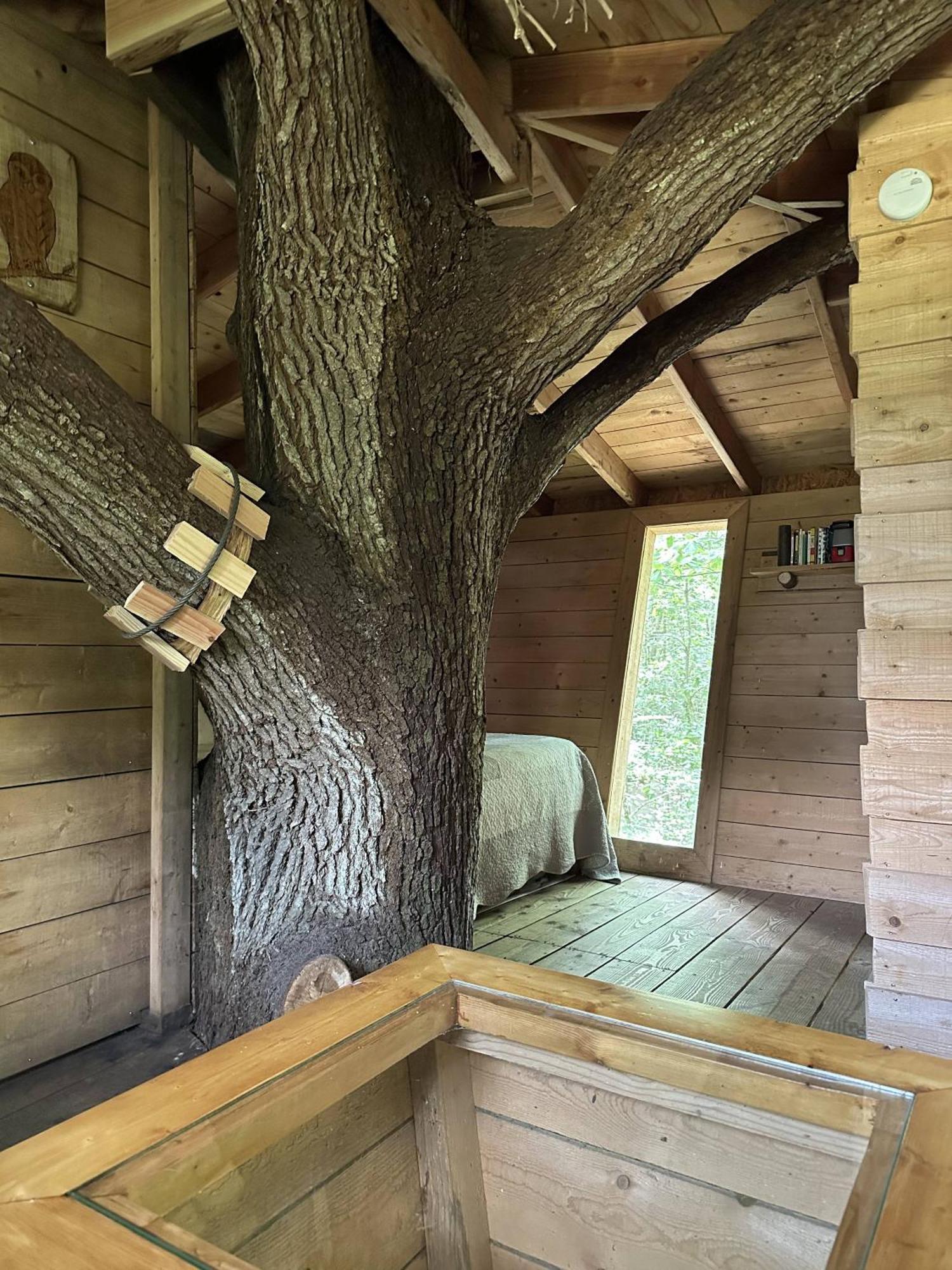 Les Ecolodges De L'Orbiere Forcé Dış mekan fotoğraf