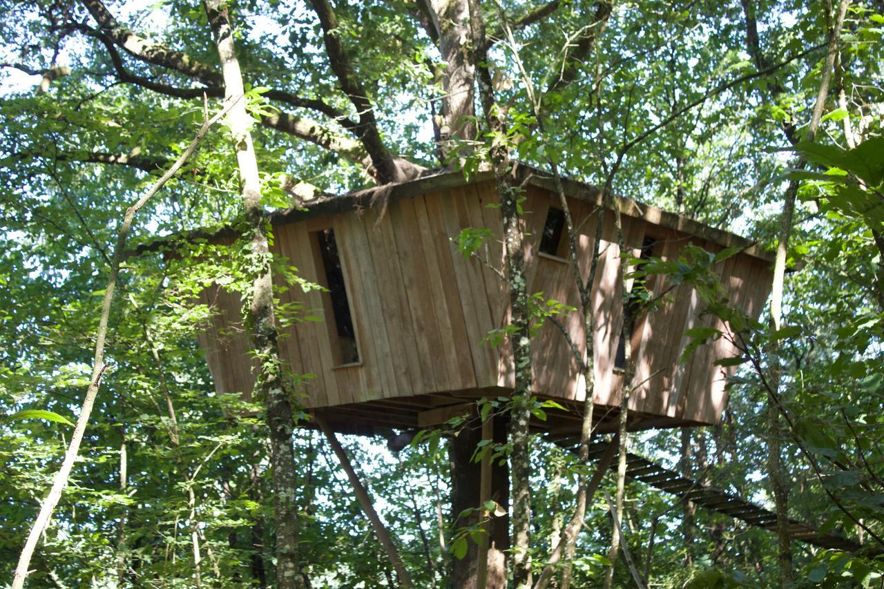 Les Ecolodges De L'Orbiere Forcé Dış mekan fotoğraf