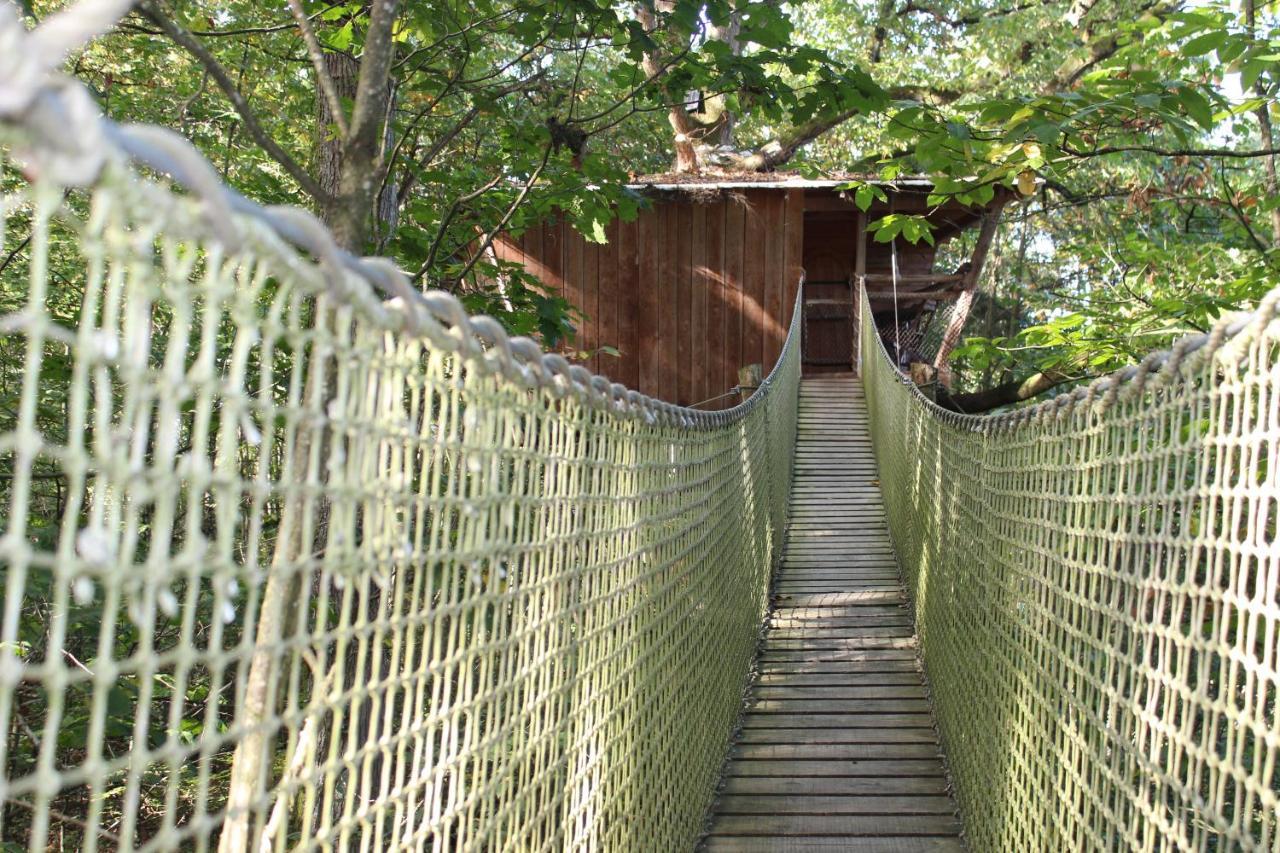 Les Ecolodges De L'Orbiere Forcé Dış mekan fotoğraf