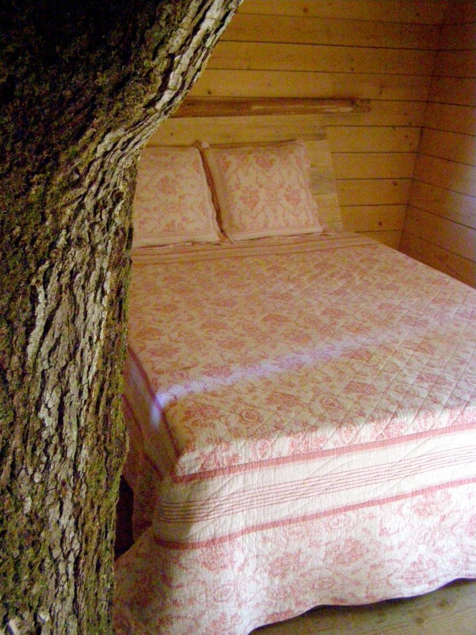 Les Ecolodges De L'Orbiere Forcé Dış mekan fotoğraf