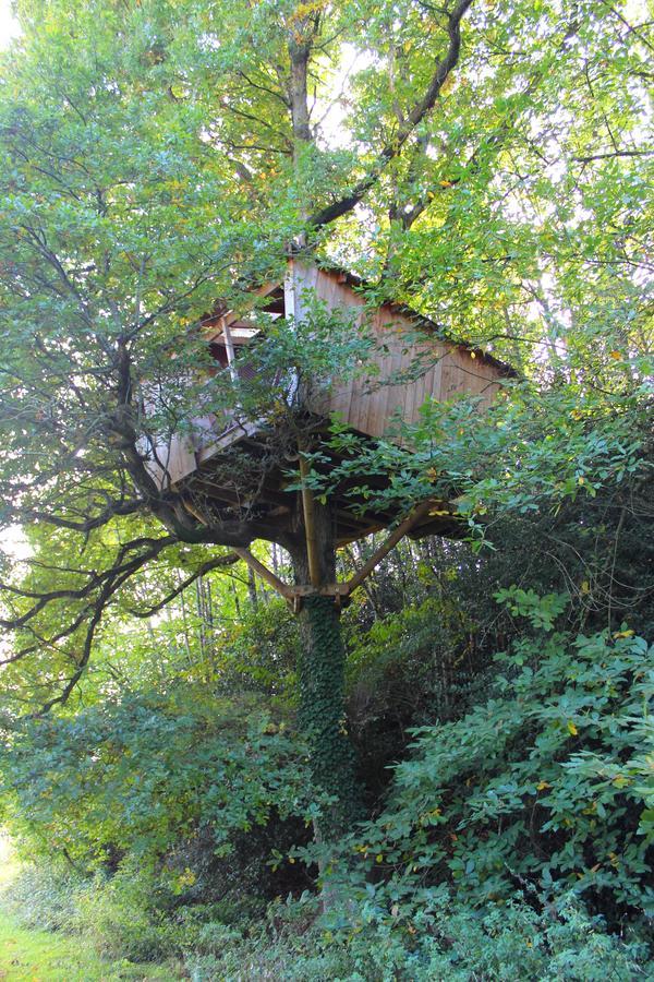 Les Ecolodges De L'Orbiere Forcé Dış mekan fotoğraf