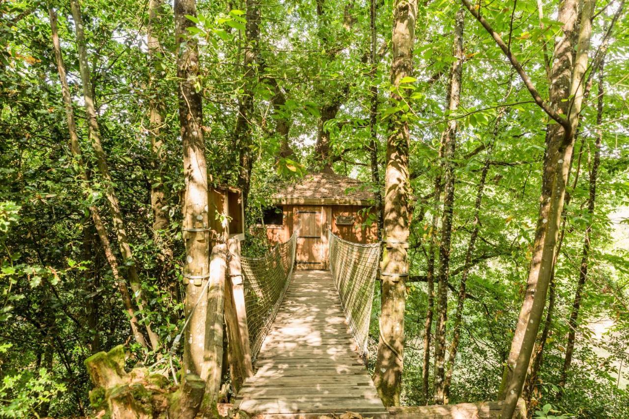 Les Ecolodges De L'Orbiere Forcé Dış mekan fotoğraf