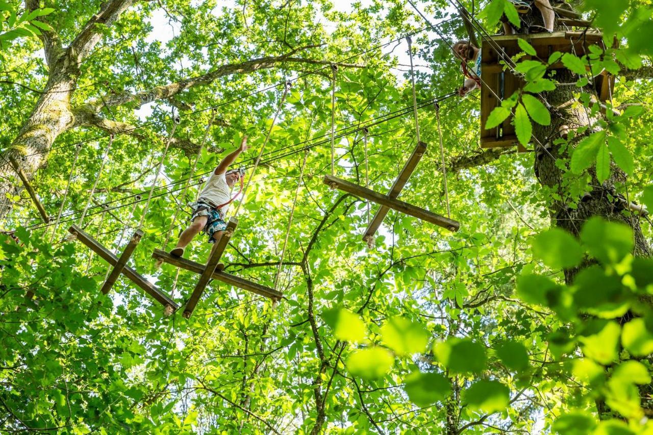 Les Ecolodges De L'Orbiere Forcé Dış mekan fotoğraf
