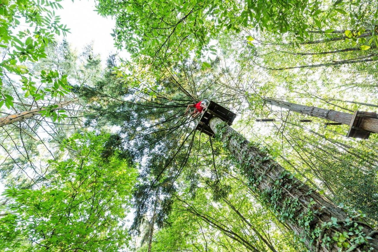 Les Ecolodges De L'Orbiere Forcé Dış mekan fotoğraf